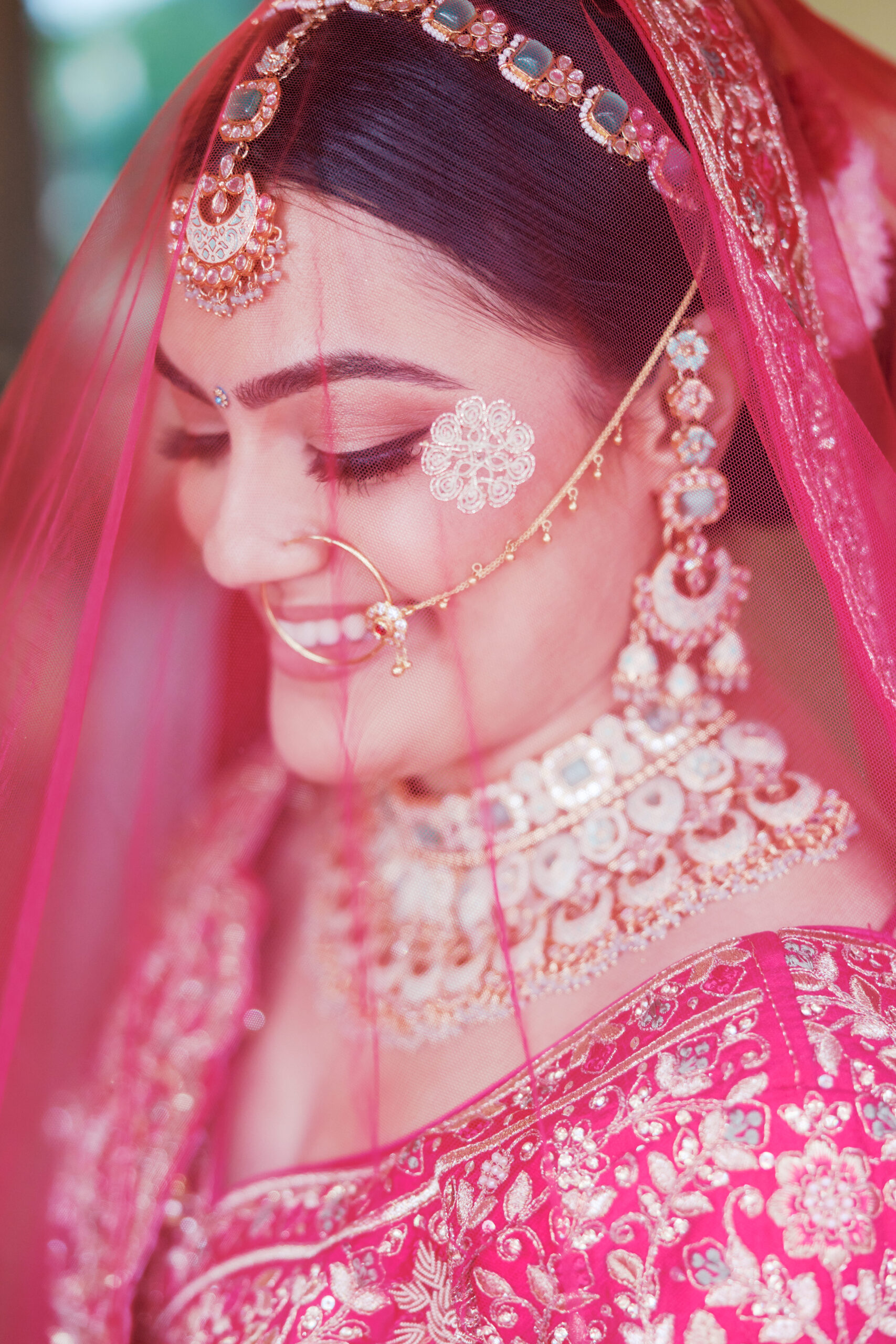 south asian indian wedding in kansas city midwest hindu ceremony