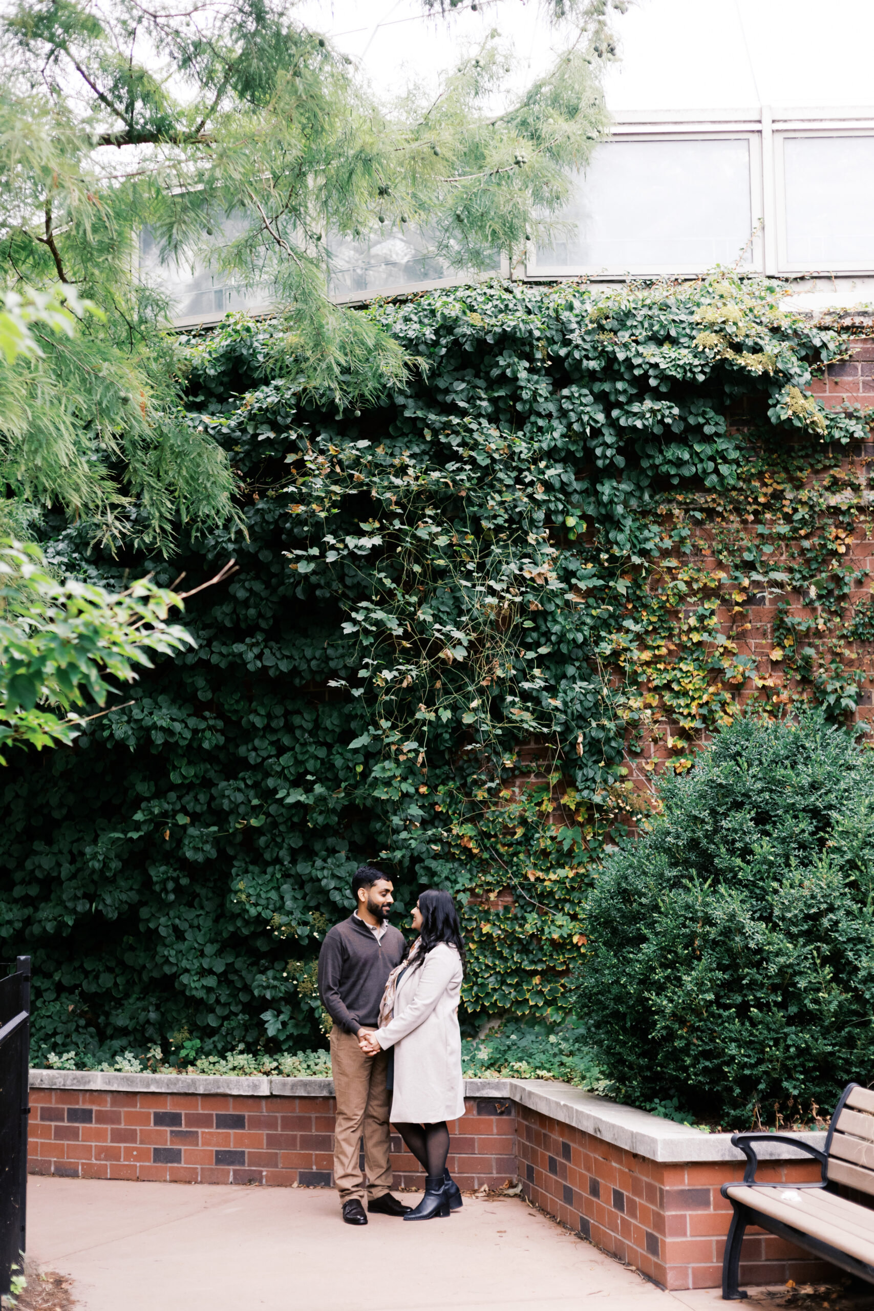 A couple stands close together holding hands, framed by lush ivy climbing a brick wall in a botanical garden.