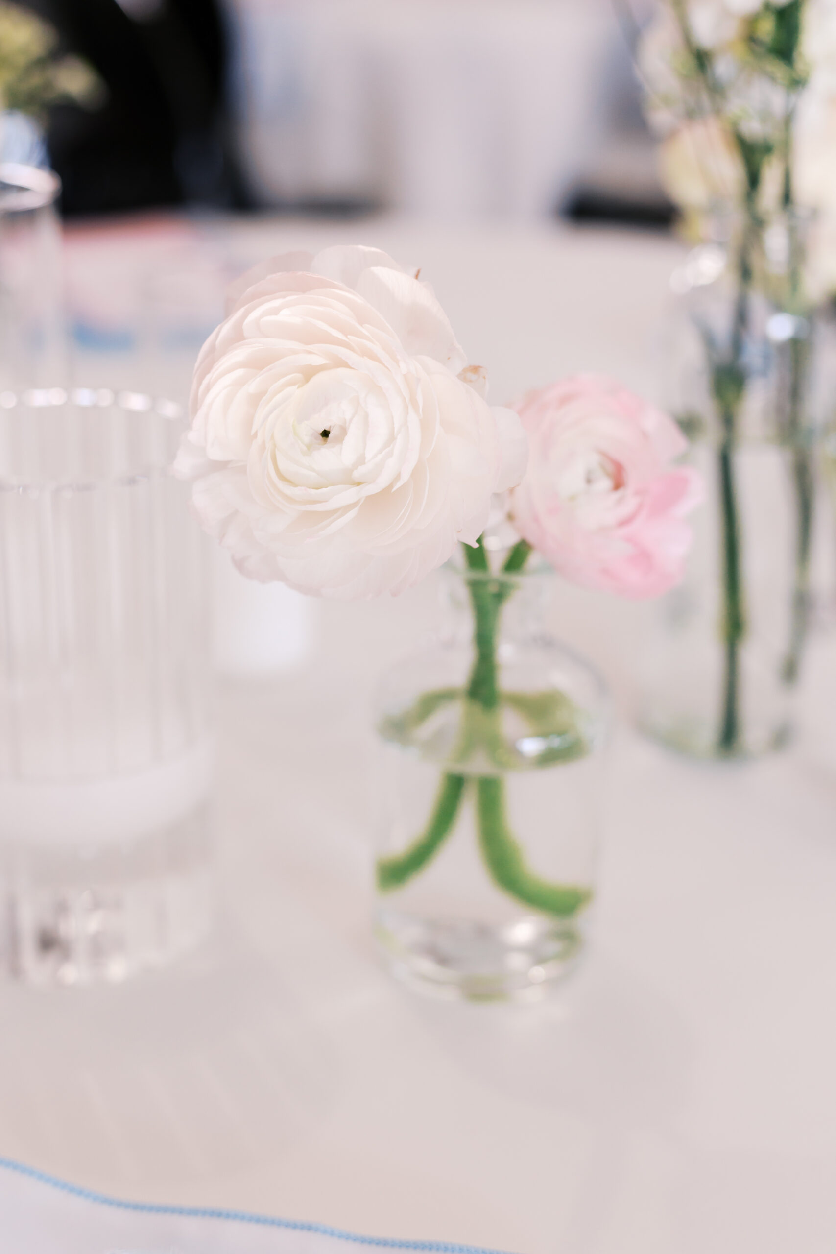 Close-up of white ranunculus flower in glass vase on table.