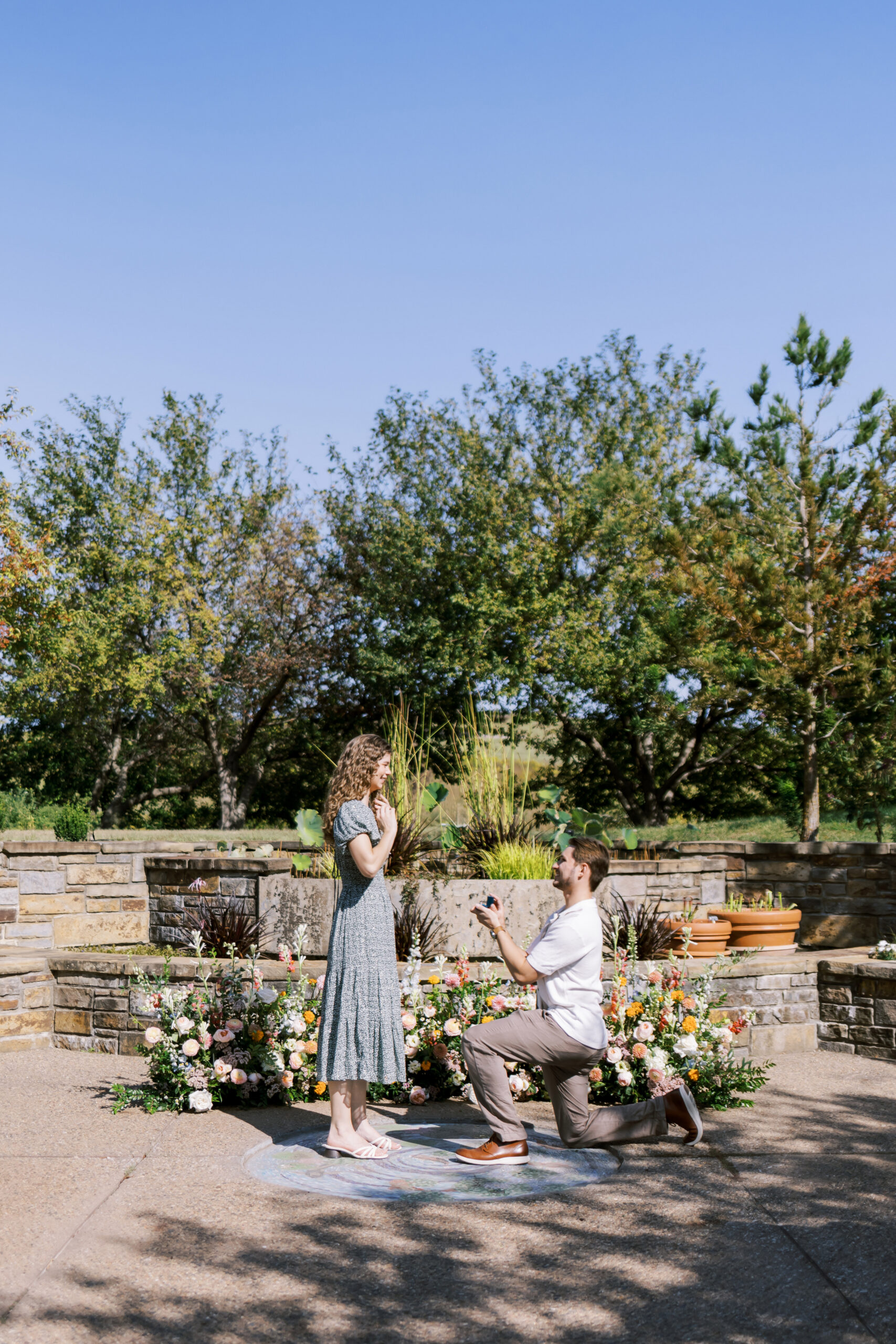 Wide shot of man proposing on one knee in front of floral display at Powell Gardens.