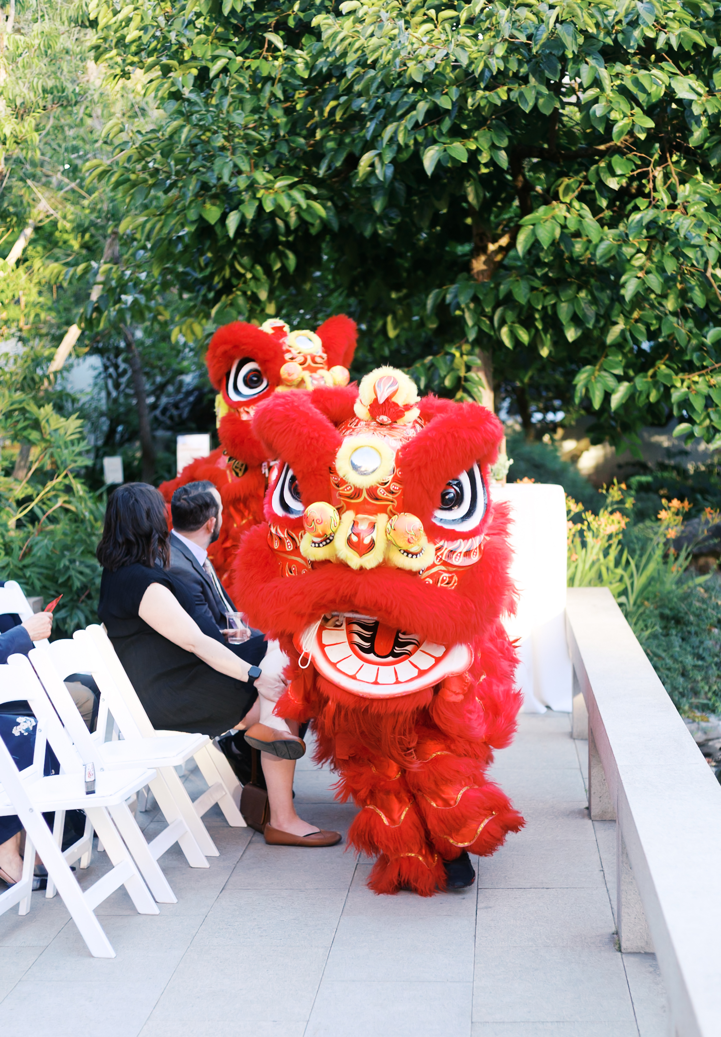 Red lion dance performers walking through an outdoor wedding ceremony space lined with seated guests.