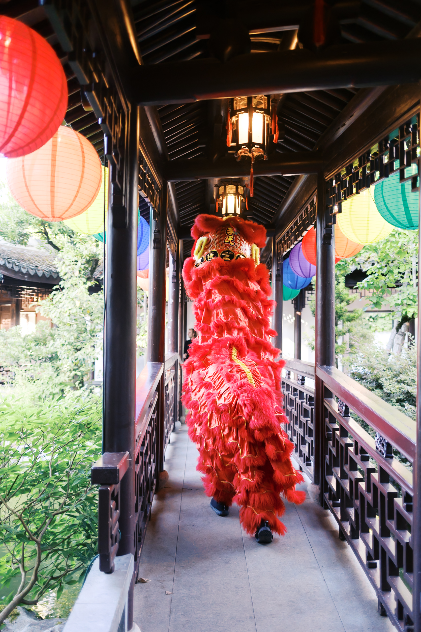 Red lion dance costume moving through a lantern-lined covered walkway at a traditional Chinese garden venue.