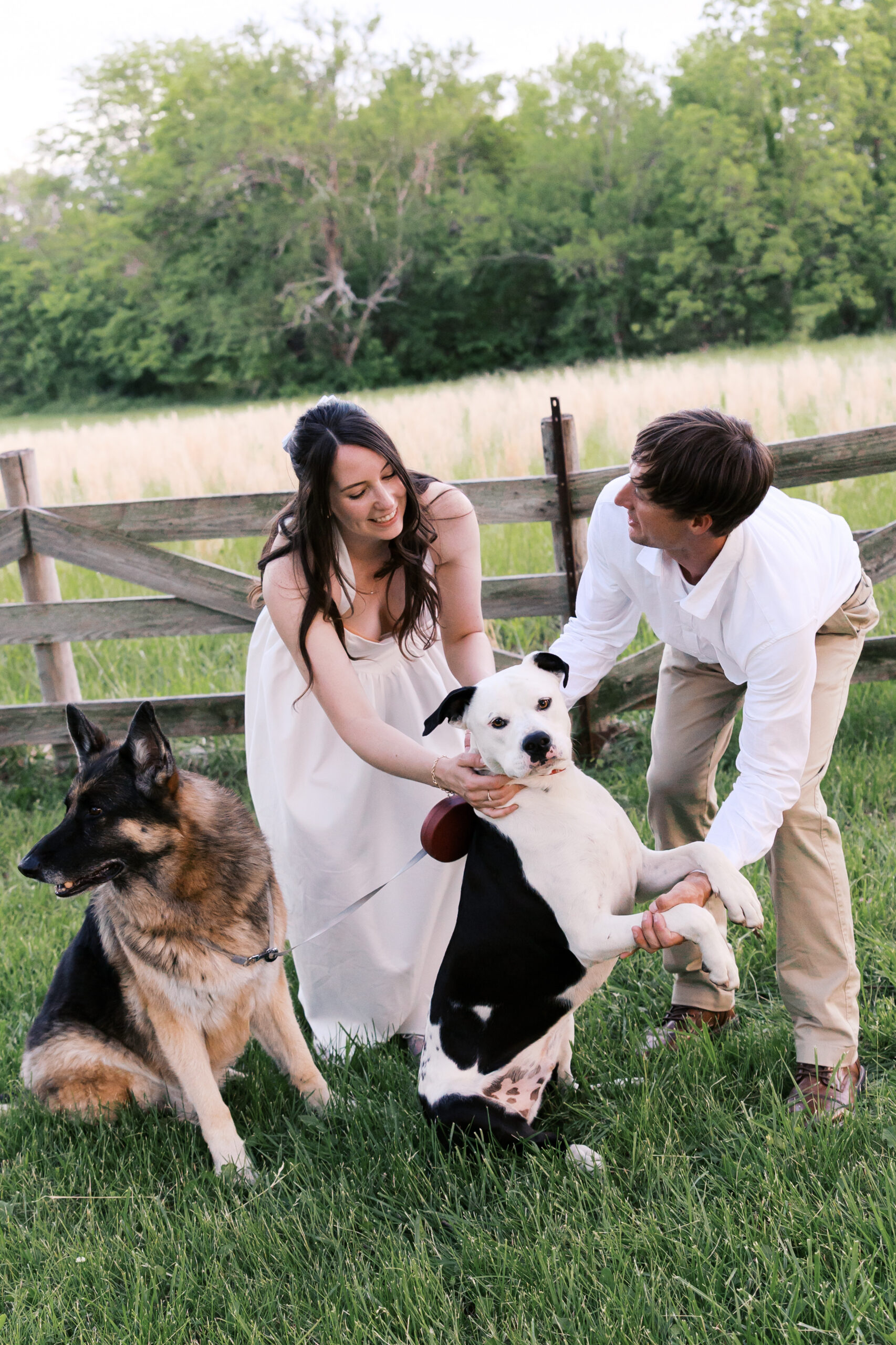 Engaged couple petting two dogs in a grassy, fenced yard at the client's home.