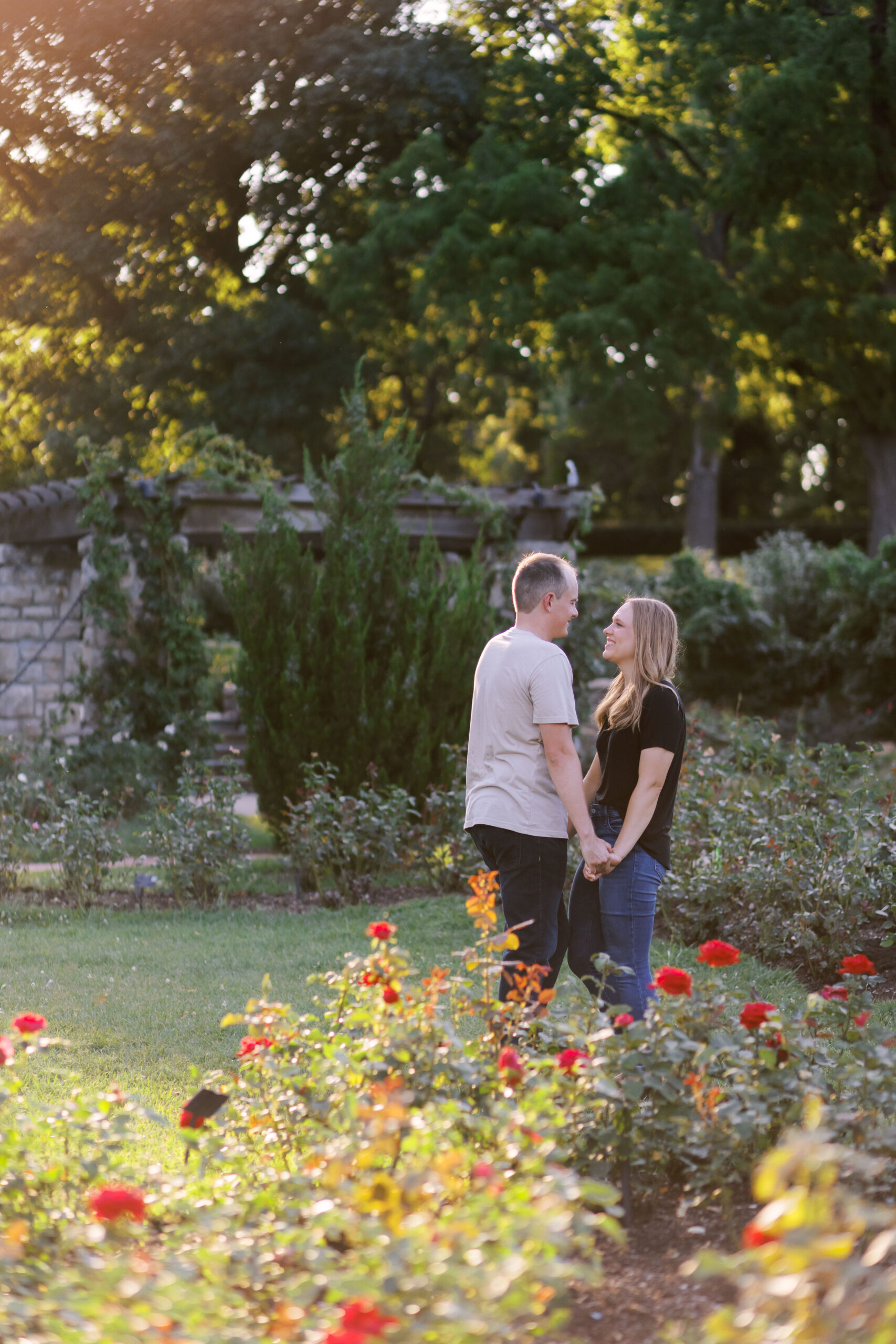 Engaged couple holding hands in a rose garden, framed by blooming red roses in the foreground.